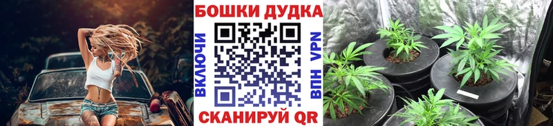 Купить наркоту Шумиха Alpha-PVP Амфетамин ОМГ ОМГ зеркало Каннабис Мефедрон Гашиш