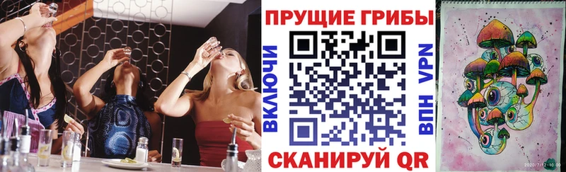 Галлюциногенные грибы Cubensis  дарнет шоп  Шумиха 